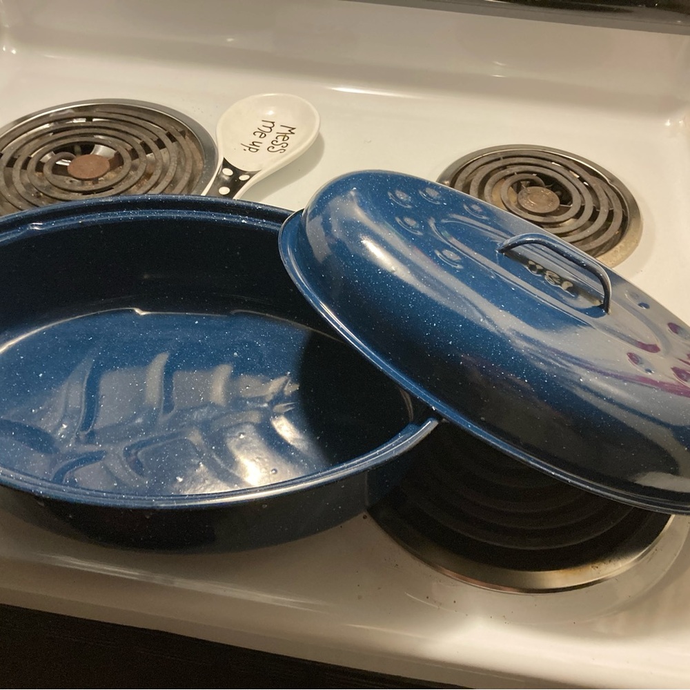 Blue speckled roasting pan